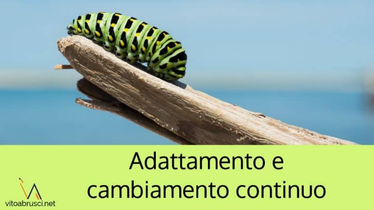 Adattamento e cambiamento continuo